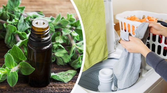 8waystocleanwithoreganooil_featured_960x540