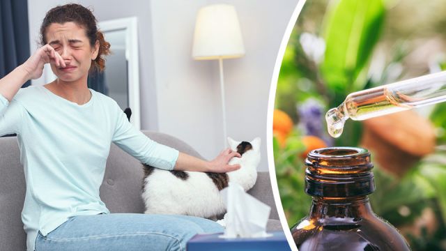 7naturalremediesforpetallergies_featured_960x540