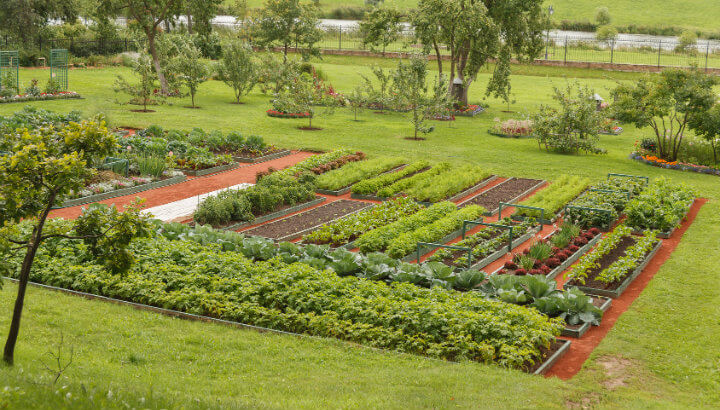 These 8 Mental Health Benefits Of Community Gardening Might Make