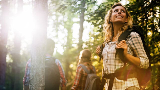 Forest bathing