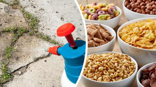 isweedkillerinyourcerealhereswhatyouneedtoknow_960x540