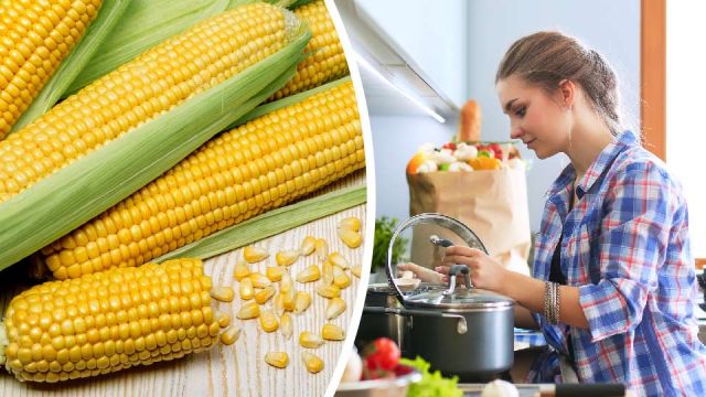 processedcornlosesitscancerfightingproperties_960x540