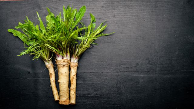 Fresh horseradish. On the black Wooden desk. Top view.