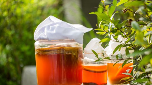 Glass jar of Kombucha fermented tea in garden