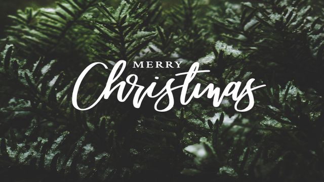 Merry Christmas Text Over Winter Evergreen Branches Covered in Snow