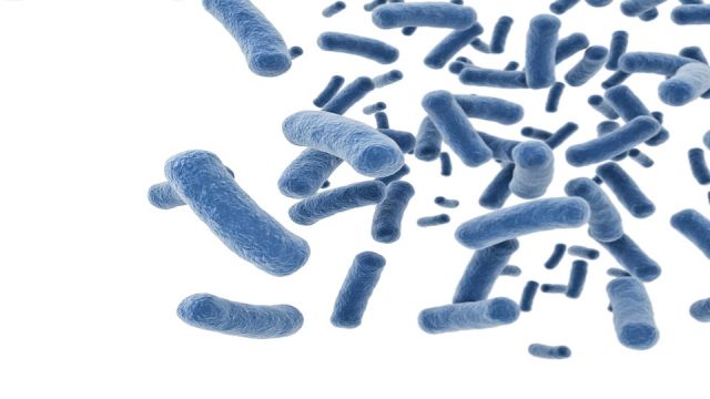 Bacteria cells isolated on white background