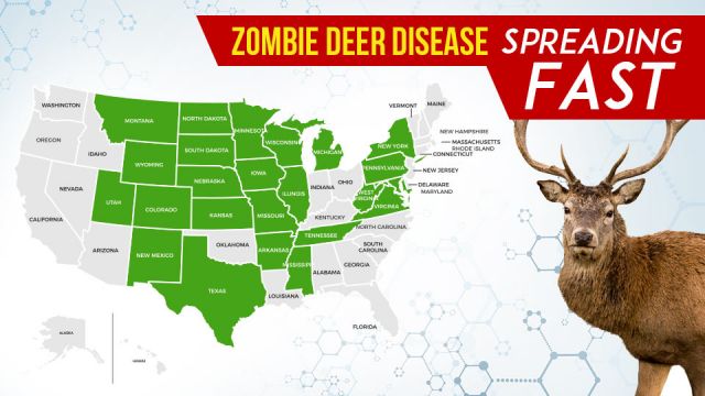 Zombiedeerdiseasespreadingfast 960x540 1 640x360 