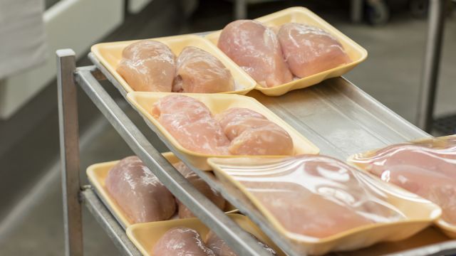 Freshly Processed Chicken Breast