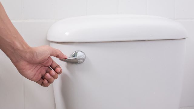 hand press and flush toilet. Cleaning, Lifestyle and personal hygiene concept