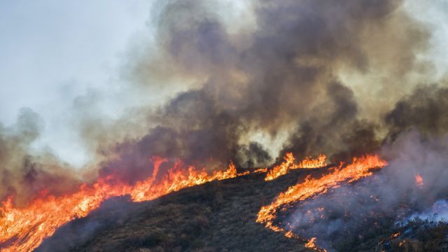 Brush and Tree Landscape Burning with Flame and Smoke During California Wildfire
