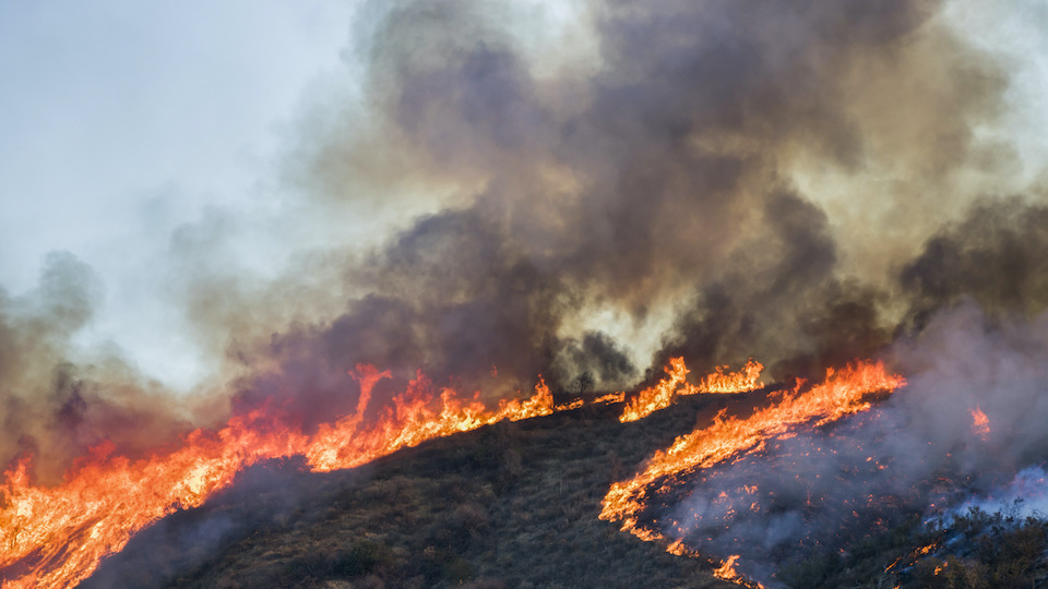 The Real Dangers of Breathing Wildfire Smoke