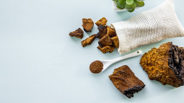 Flat lay view wild natural chaga mushroom, Inonotus obliquus powder and pieces for making tea and coffee. Healthy herbal plant based medicinal food supplement concept.